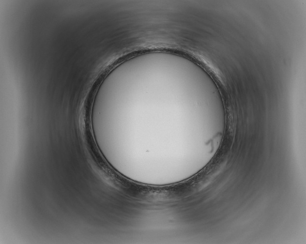 X0000111460631200907131219