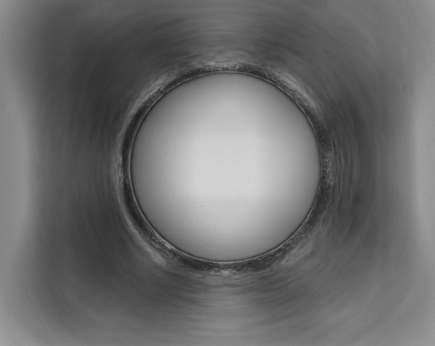 X0000111460634200907131219