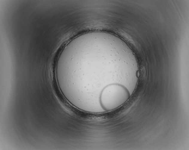 X0000111460638200907131219