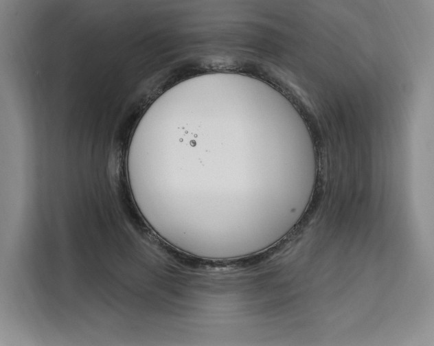 X0000111460645200907131219