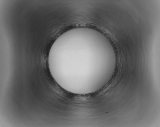 X0000111460661200907131219