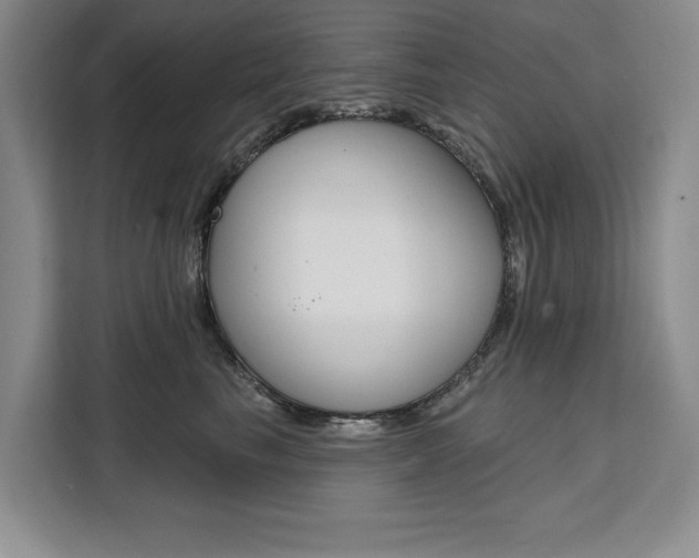 X0000111460665200907131219