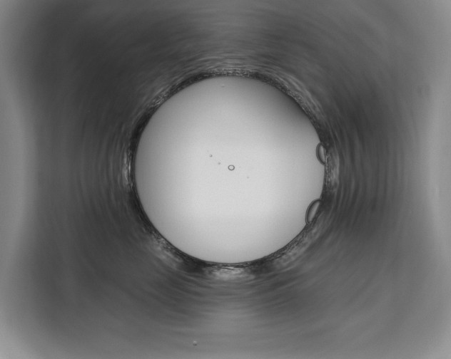 X0000111460669200907131219