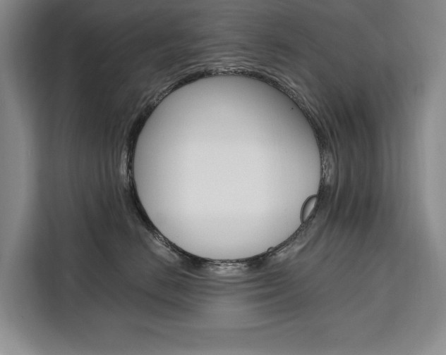 X0000111460670200907131219