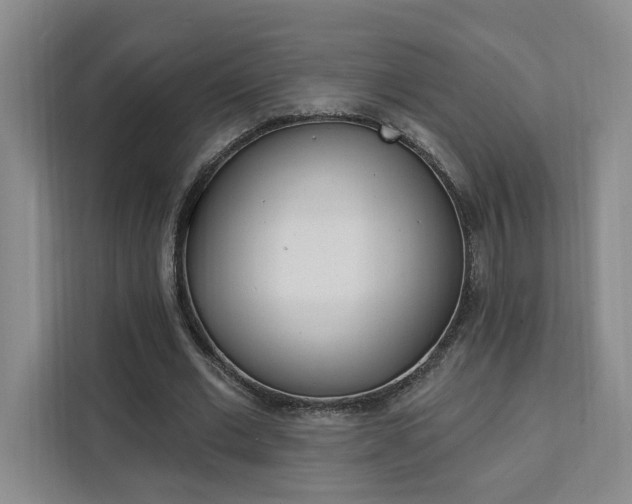 X0000111460677200907131218