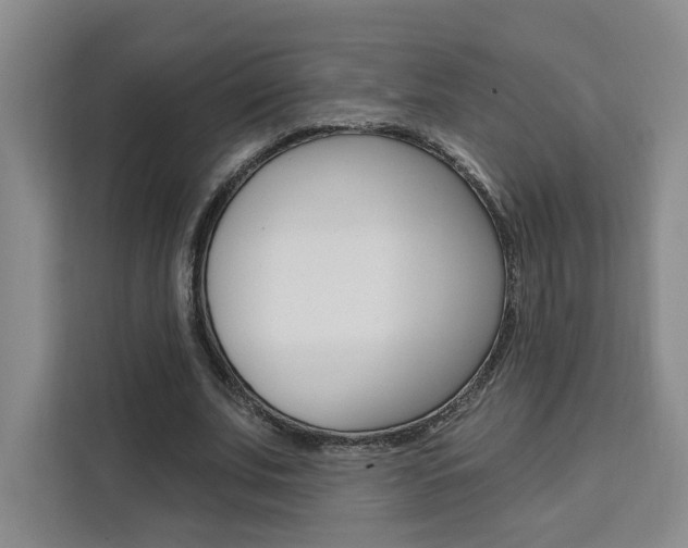 X0000111460679200907131218