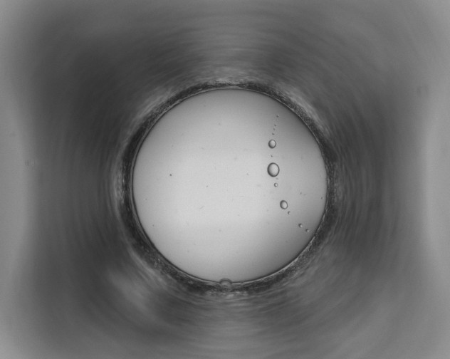 X0000111460683200907131218
