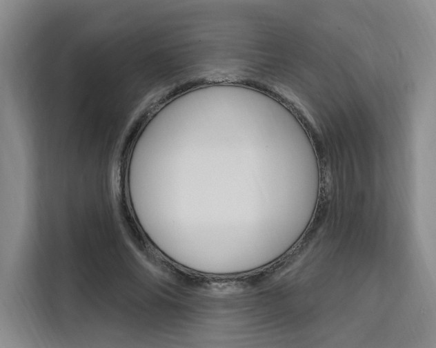 X0000111460686200907131218