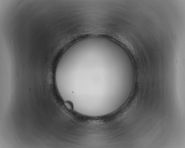 X0000111460689200907131218