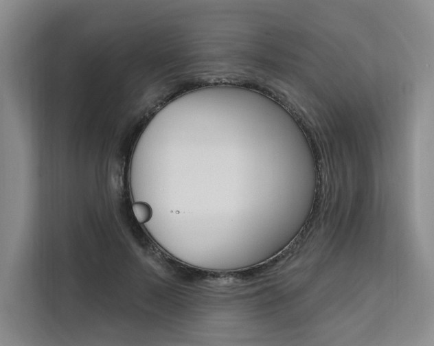 X0000111460695200907131218