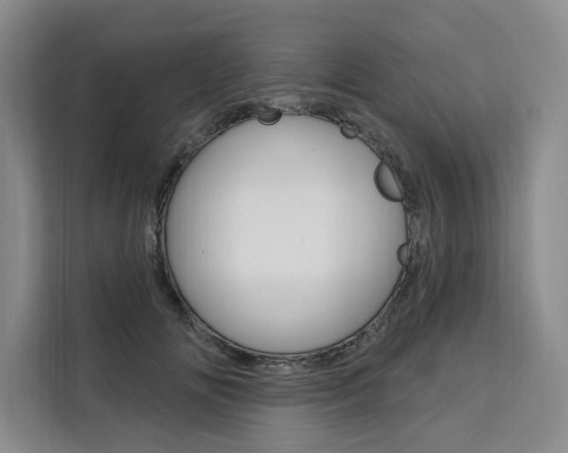 X0000111460702200907131218
