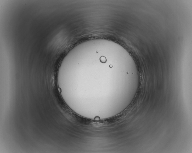 X0000111460703200907131218