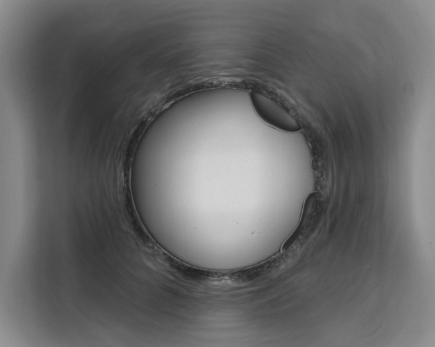 X0000111460704200907131218