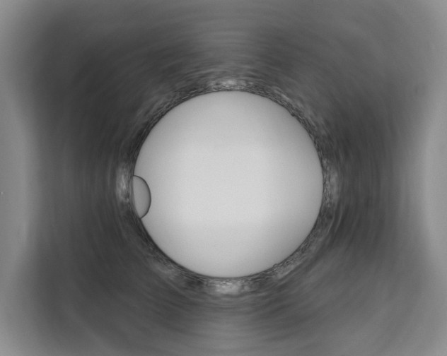 X0000111460709200907131218