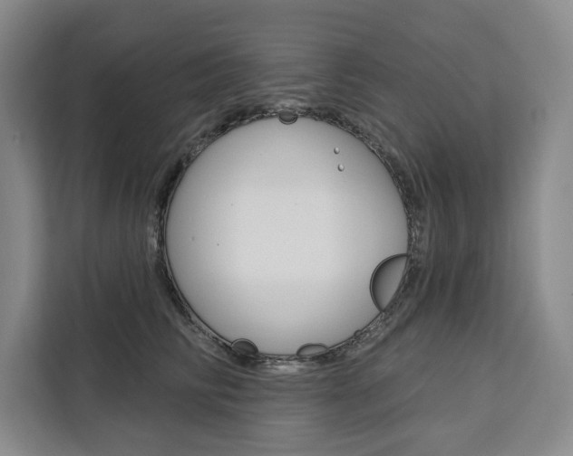 X0000111460710200907131218