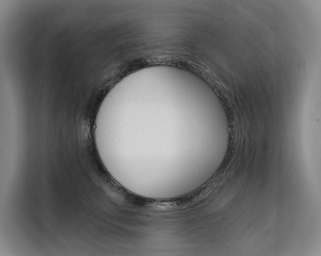 X0000111460711200907131218