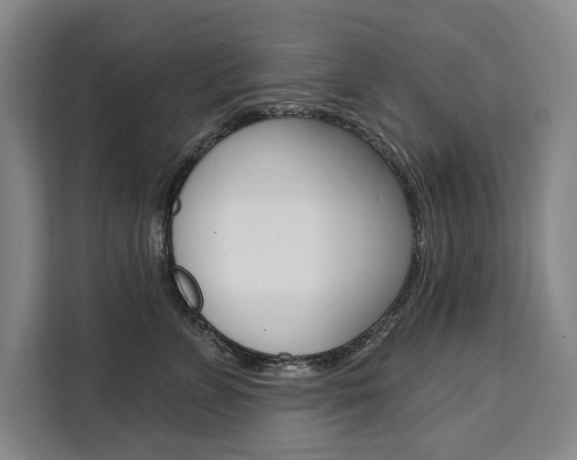 X0000111460715200907131218