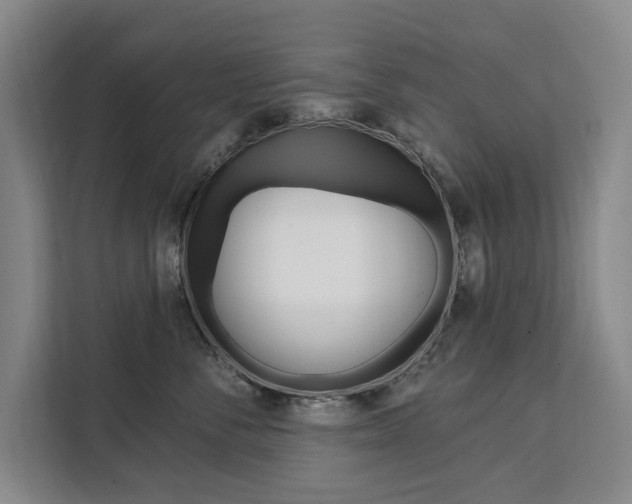 X0000111460716200907131218