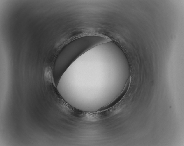 X0000111460720200907131218