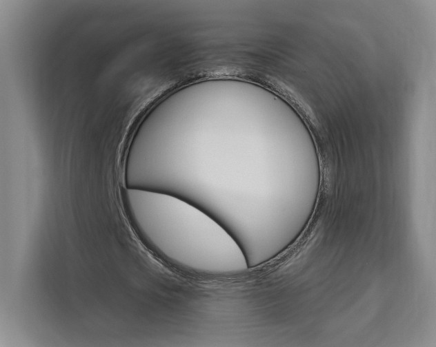 X0000111460721200907131217