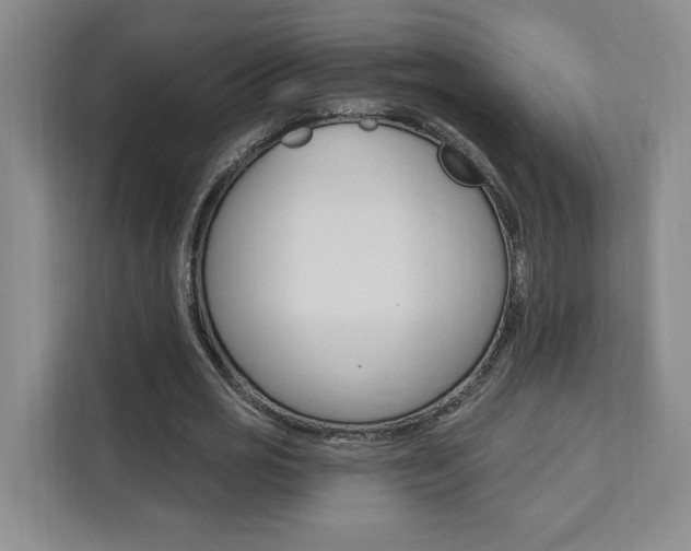X0000111460725200907131217