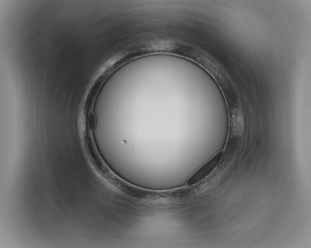 X0000111460726200907131217