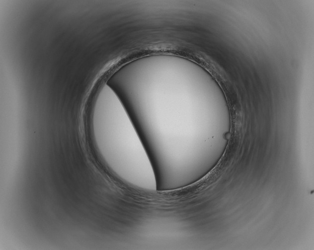 X0000111460727200907131217