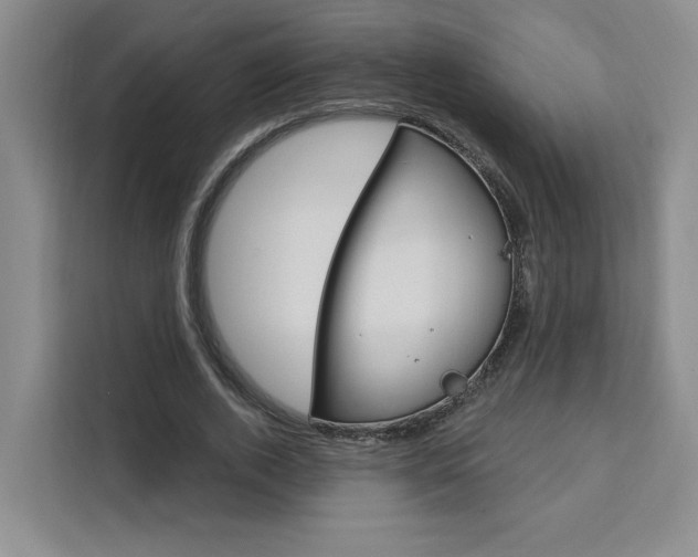 X0000111460728200907131217
