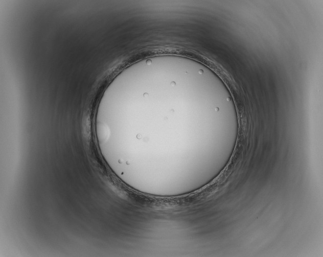 X0000111460729200907131217