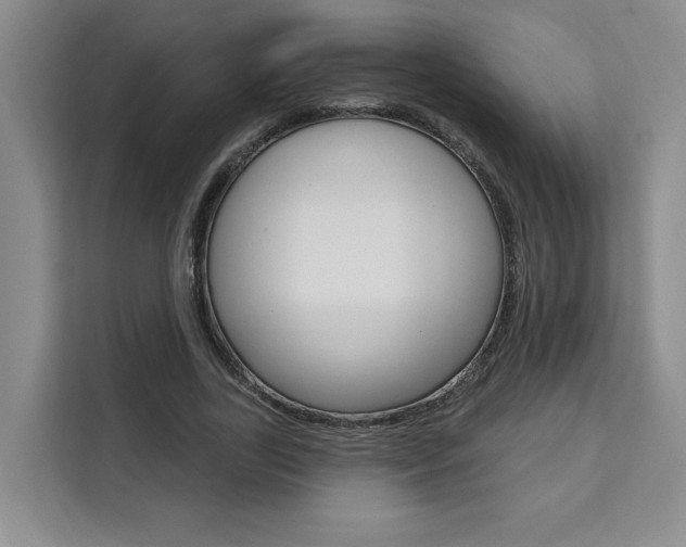 X0000111460731200907131217