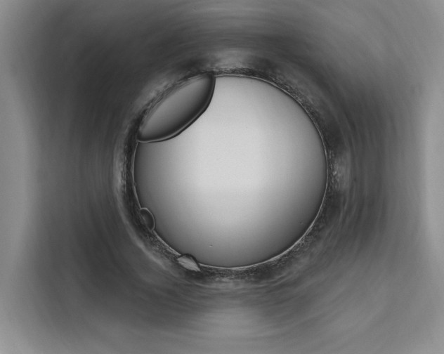 X0000111460732200907131217