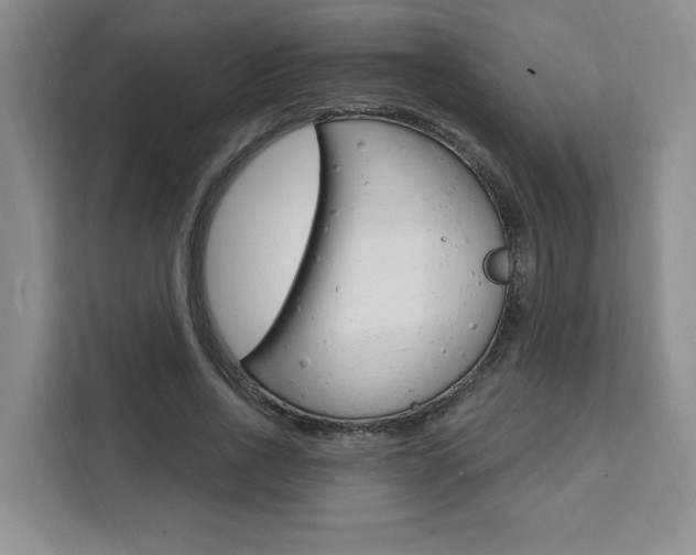 X0000111460734200907131217