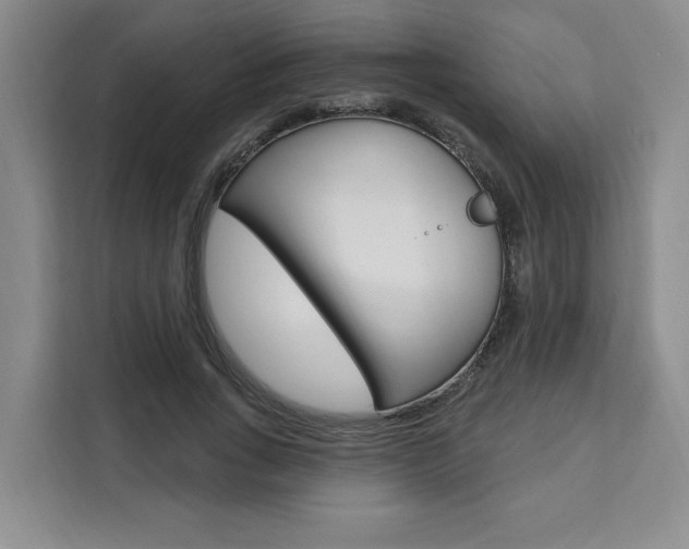 X0000111460735200907131217