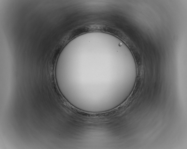 X0000111460737200907131218