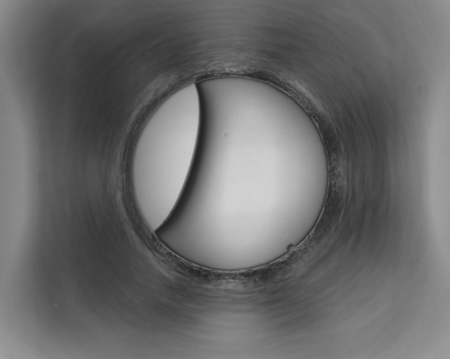 X0000111460738200907131218