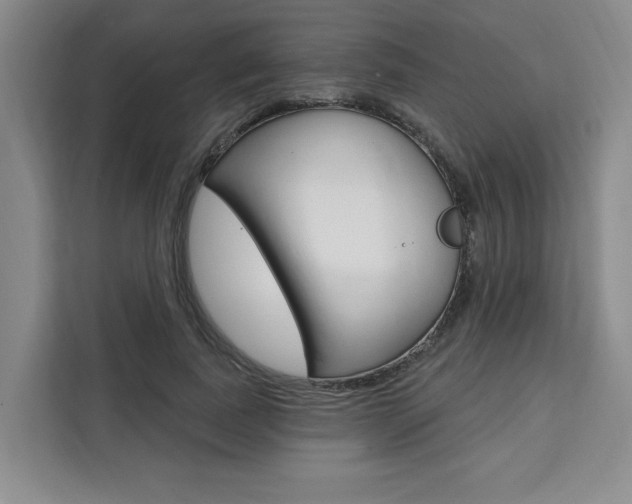 X0000111460739200907131218