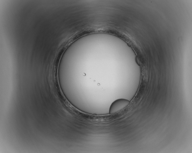 X0000111460740200907131218