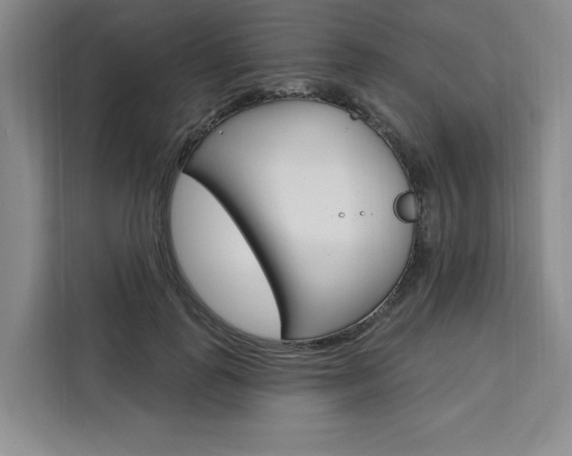 X0000111460747200907131218