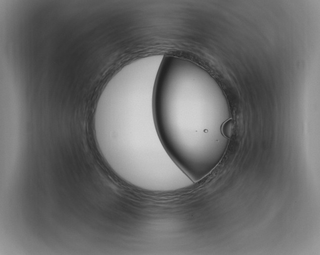 X0000111460750200907131218