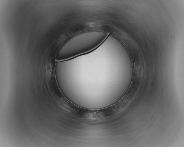 X0000111460752200907131218