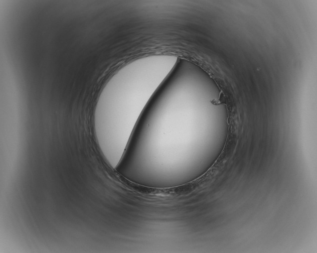 X0000111460756200907131218