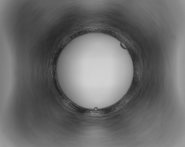 X0000111460758200907131218