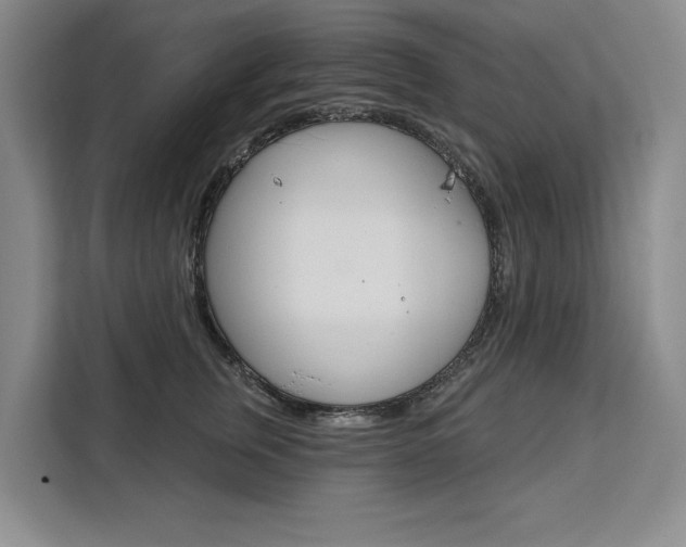 X0000111460759200907131218