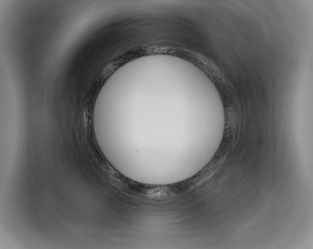 X0000111460761200907131218