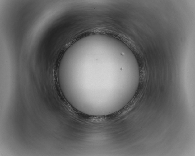 X0000111460762200907131218