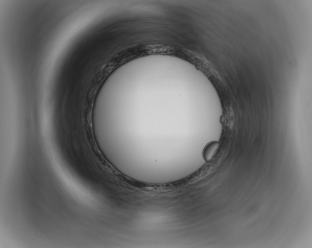 X0000111460763200907131218