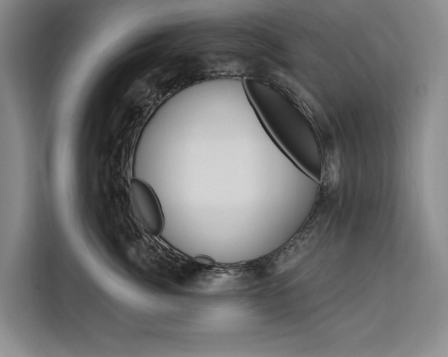 X0000111460764200907131218