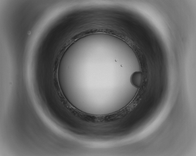 X0000111460766200907131218