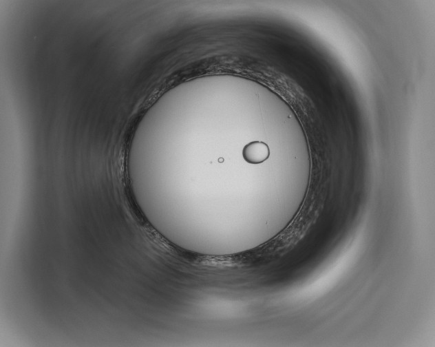X0000111460767200907131218