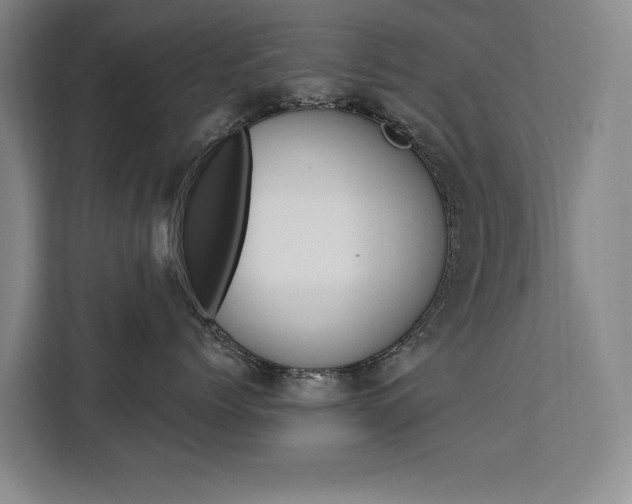 X0000111460768200907131218